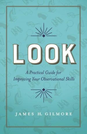 Cover of the book Look by Lois Farfel Stark