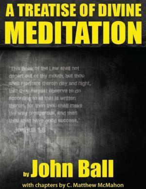 Cover of the book A Treatise of Divine Meditation by C. Matthew McMahon, Matthew Mead