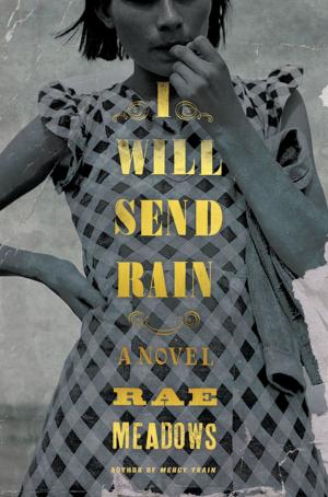 Cover of the book I Will Send Rain by Ira Rutkow