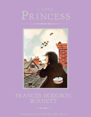 Cover of the book A Little Princess by Sara Boccaccini Meadows