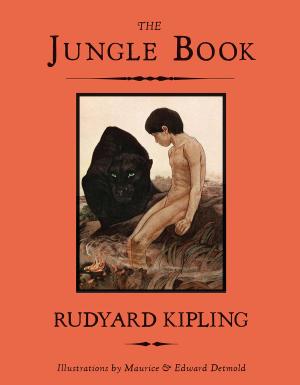 Cover of the book The Jungle Book by Brothers Grimm