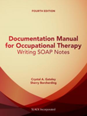 bigCover of the book Documentation Manual for Occupational Therapy by 
