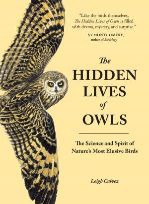 Cover of the book The Hidden Lives of Owls by Margot Leitman