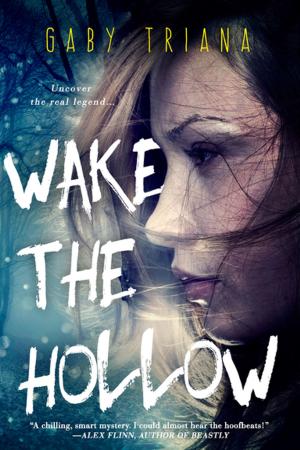 Cover of the book Wake the Hollow by N.J. Walters