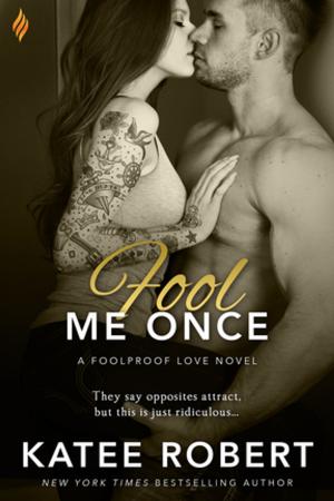 Cover of the book Fool Me Once by Ally Broadfield