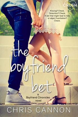 Cover of the book The Boyfriend Bet by Sheryl Nantus