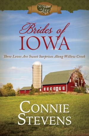 Cover of the book Brides of Iowa by Joanna Bloss, Ellyn Sanna
