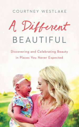 Cover of the book A Different Beautiful by Wanda E. Brunstetter