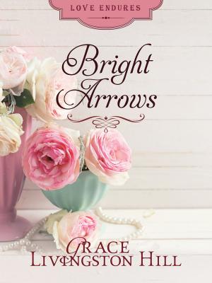 Cover of the book Bright Arrows by C.J. Chase, Susanne Dietze, Rita Gerlach, Kathleen L. Maher, Gabrielle Meyer, Carrie Fancett Pagels, Vanessa Riley, Lorna Seilstad, Erica Vetsch