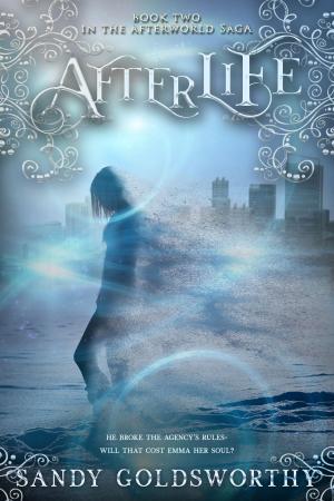 Cover of the book Afterlife by Alicia Michaels