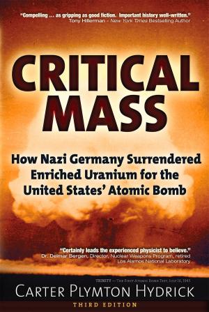 Cover of the book Critical Mass by Peter Levenda