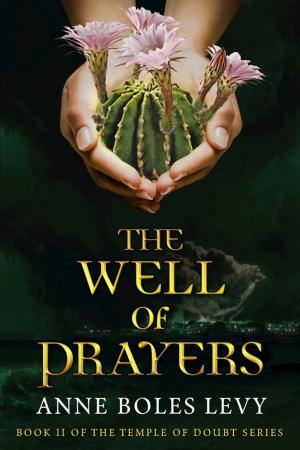 Cover of the book The Well of Prayers by Jason R. Rich