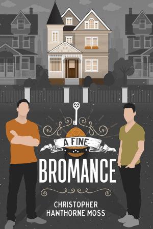 Book cover of A Fine Bromance
