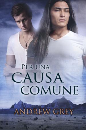 Cover of the book Per una causa comune by John Inman