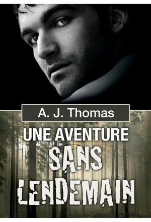 Cover of the book Une aventure sans lendemain by John L. Dupuis
