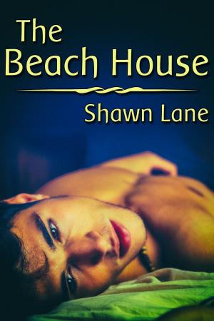 Cover of the book The Beach House by Jessica Payseur