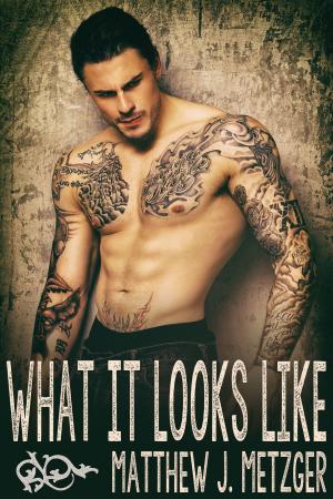 Cover of the book What It Looks Like by Judith McWilliams
