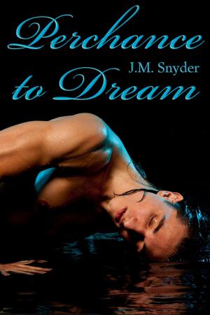 Cover of the book Perchance to Dream Box Set by Joseph R.G. DeMarco