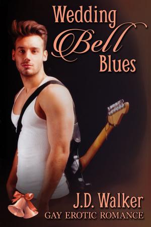 Cover of the book Wedding Bell Blues Box Set by Shawn Lane