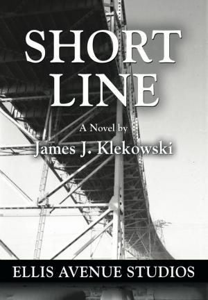 Cover of the book Short Line by Stu Bloom