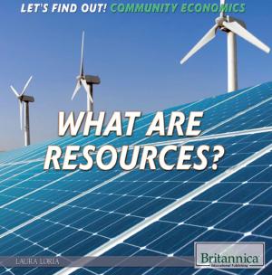 Cover of the book What Are Resources? by Therese Shea
