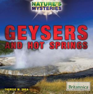 Cover of the book Geysers and Hot Springs by Hope Kilcoyne