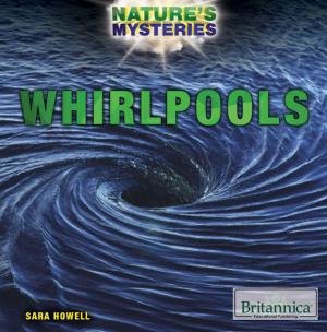 Cover of the book Whirlpools by Jason Porterfield