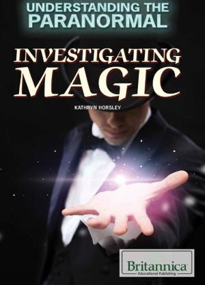 Cover of the book Investigating Magic by Robert Curley