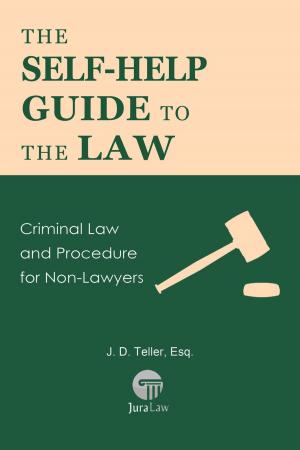 bigCover of the book The Self-Help Guide to the Law: Criminal Law and Procedure for Non-Lawyers by 