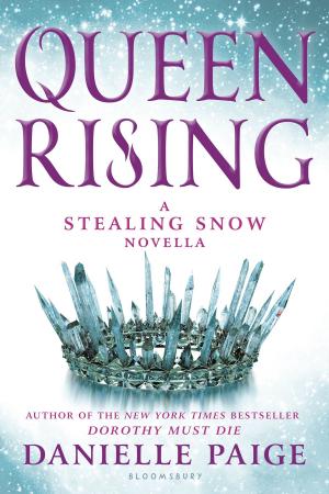 Cover of the book Queen Rising by Dr Andrew Zurcher