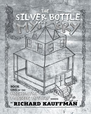 Cover of the book The Silver Bottle Mystery by JP Reese