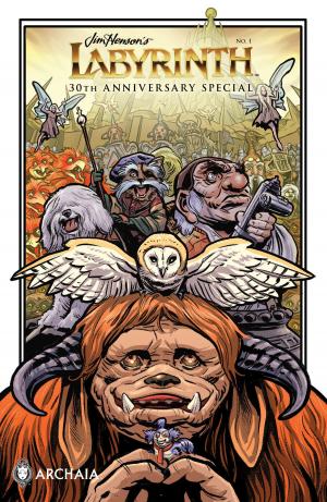 Book cover of Jim Henson's Labyrinth 2016 30th Anniversary Special