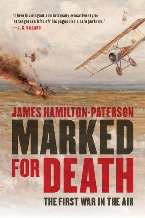 bigCover of the book Marked for Death: The First War in the Air by 