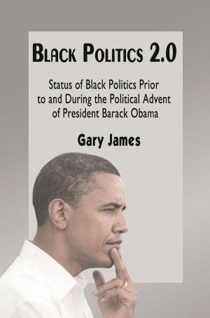 Cover of the book Black Politics 2.0 by Ted Sierke
