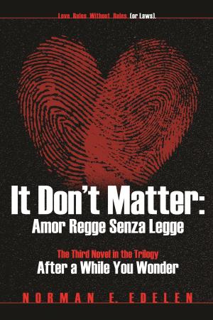 Cover of the book It Don't Matter: Amor Regge Senza Legge (Love Rules Without Rules or Laws) by JD Jones