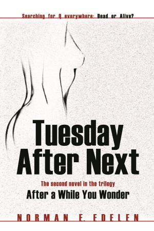Cover of the book Tuesday After Next by Mal Efictomes