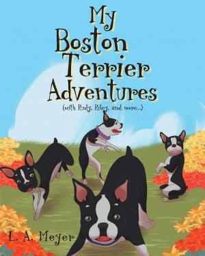 Book cover of My Boston Terrier Adventures (with Rudy, Riley and more...)