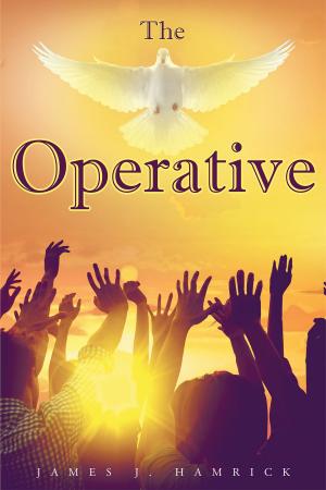 bigCover of the book The Operative by 