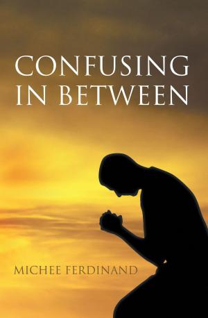 Cover of the book Confusing in Between by Rev. R. Lee Banks, Jr. AAS, BF, M.IS, MA.