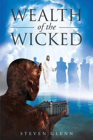 Cover of the book Wealth Of The Wicked by Robert Carlos Sr.