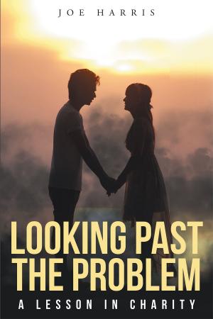 Cover of the book Looking Past The Problem A Lesson In Charity by Charles Miller