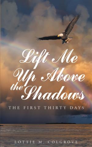 Cover of the book Lift Me up above the Shadows: The First Thirty Days by Brittany Adkins