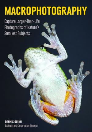 Cover of the book Macrophotography by Michael Fagans
