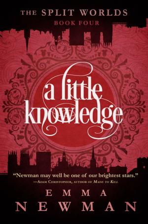 Cover of the book A Little Knowledge by Patricia C. Wrede