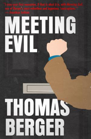 Cover of the book Meeting Evil by Anita Mills
