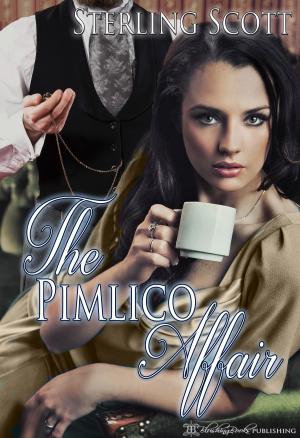 Cover of the book The Pimlico Affair by Constance Masters