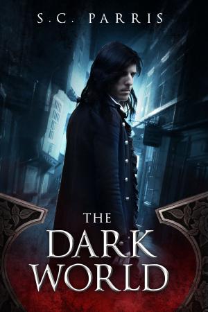 Cover of the book The Dark World by Alyson Serena Stone