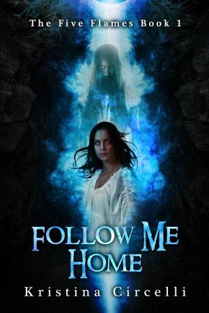 Cover of the book Follow Me Home by Paul Mannering