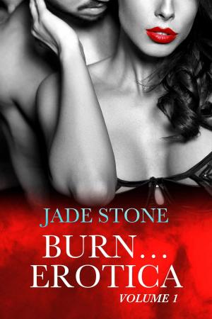 Cover of the book Burn Erotica by Shady Grace