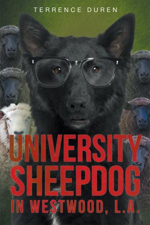 Cover of the book University Sheepdog in Westwood, L.A. by Debra McDonald